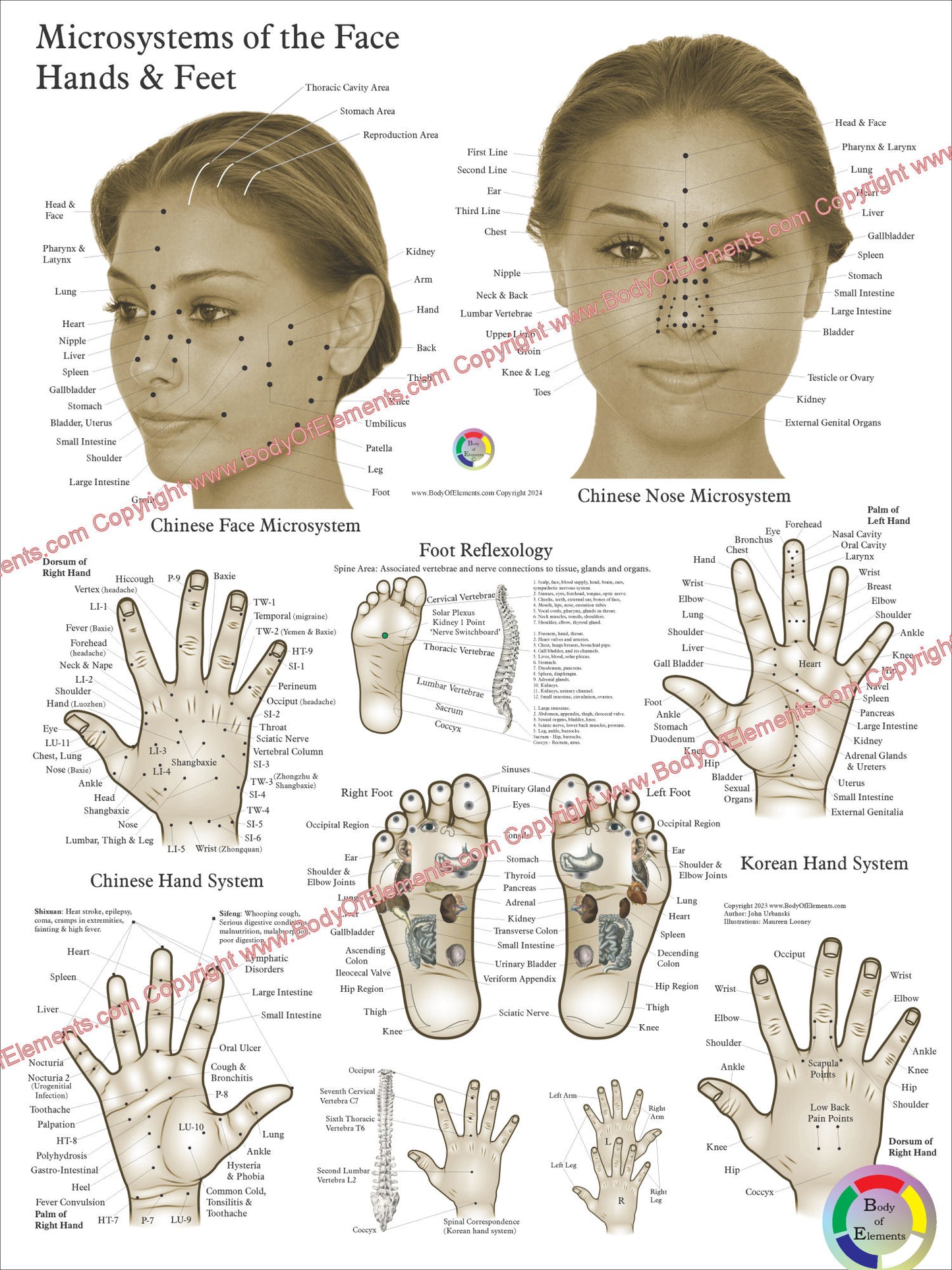 Acupressure Points Face Hand Feet Poster