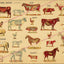 Farm animal wall art anatomy print