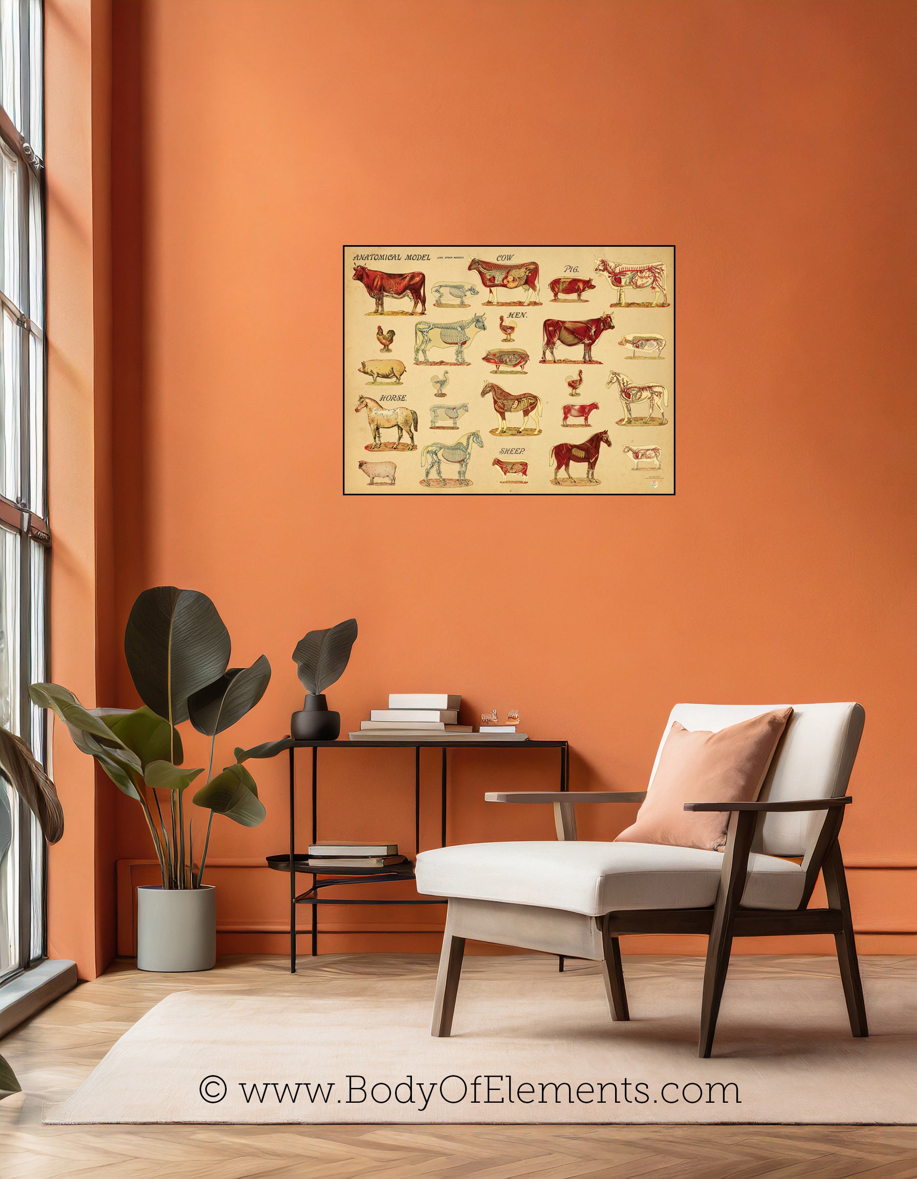 farm animals wall art anatomical print.