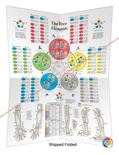 Five Elements of Acupuncture Points Poster Folded