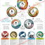 Five Elements Characteristics Cosmology Poster Folded