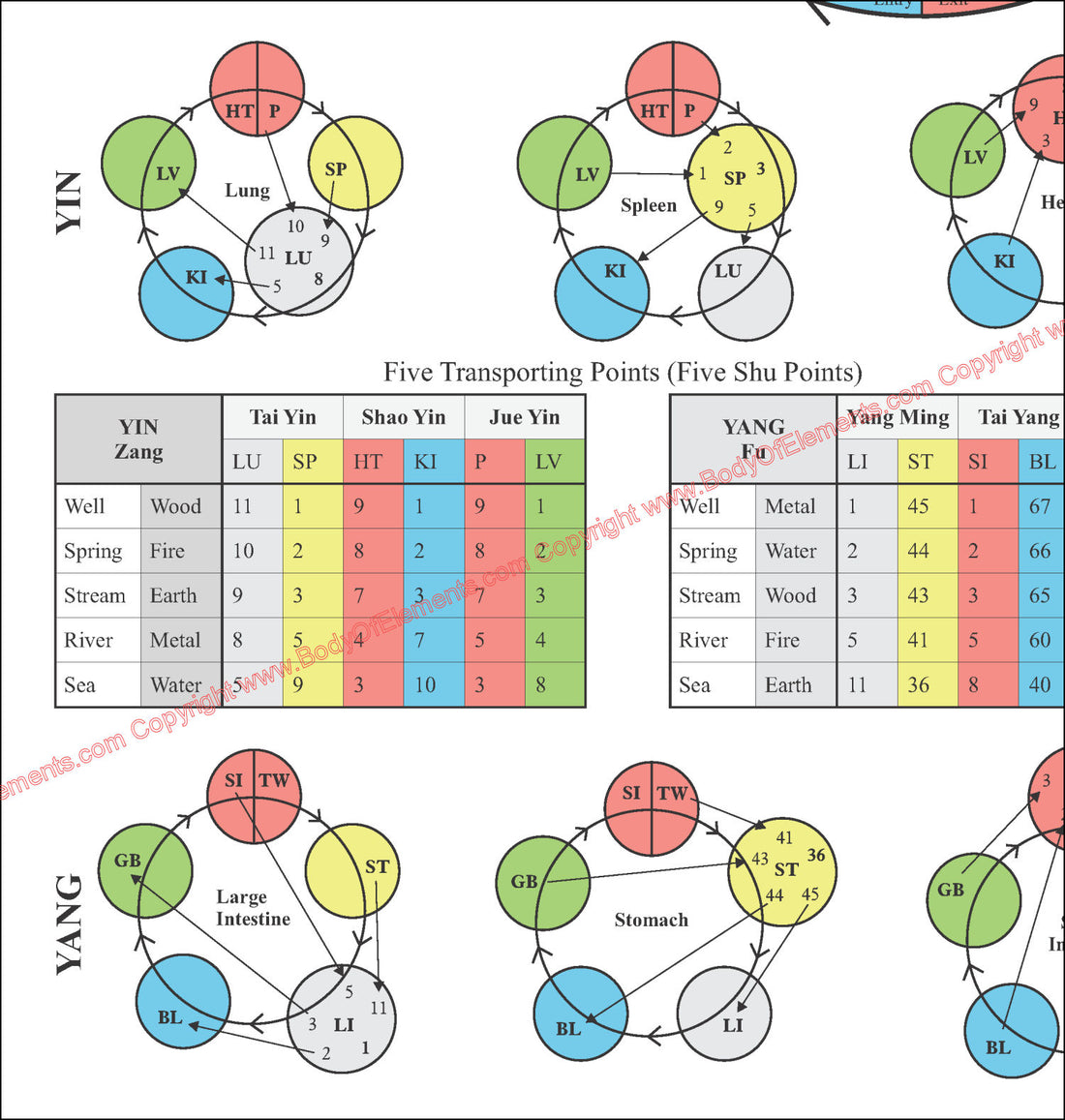 Color Five Element Acupuncture Points Poster – Body of Elements
