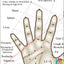 Hand acupuncture acupressure chart