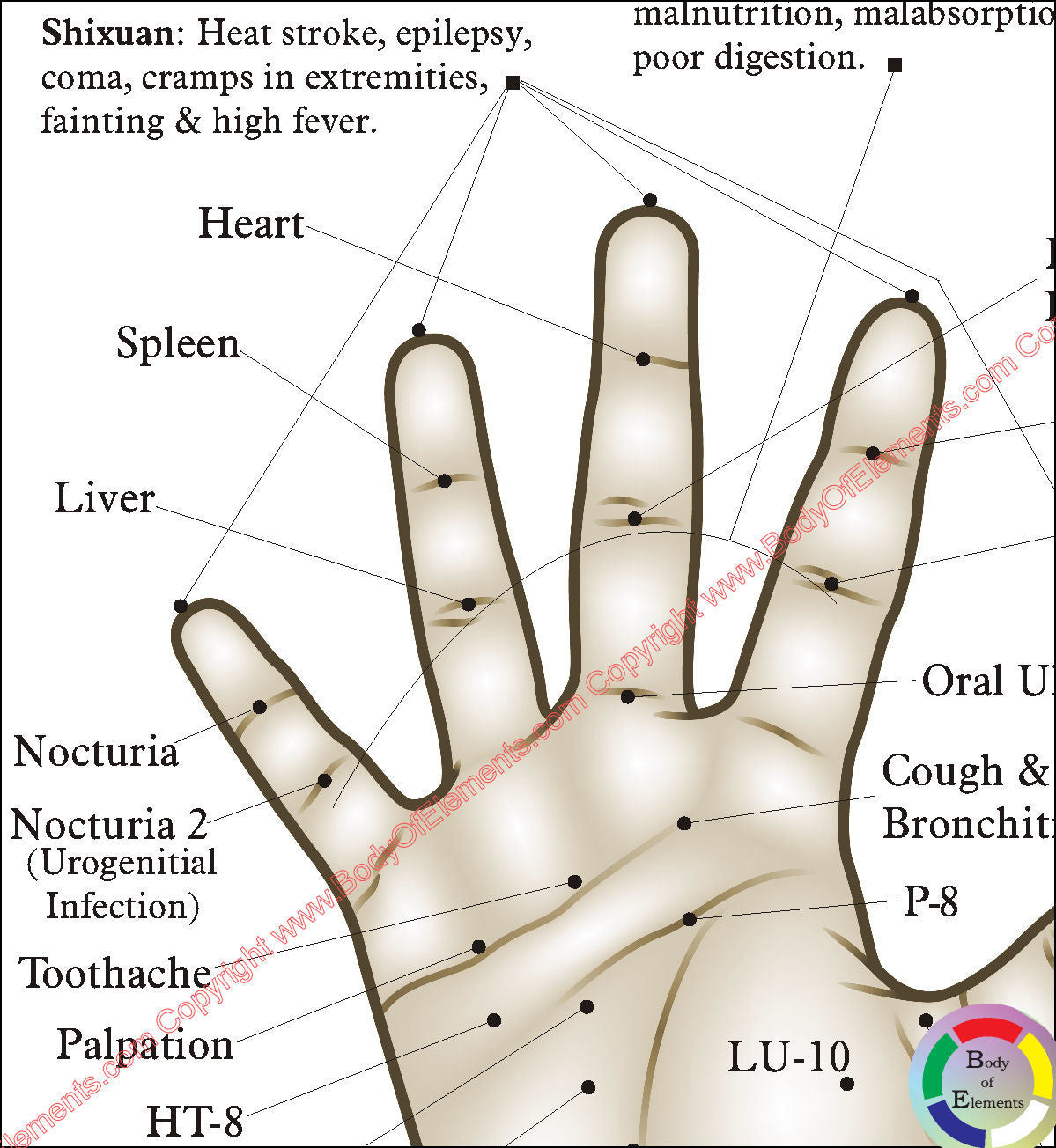 Chinese and Korean Hand Acupuncture Chart 8.5 X 11 – Body of Elements