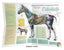 Horse Acupuncture Point Location Poster Folded