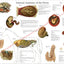 Horse Internal Organs Anatomy Poster