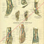 Human Foot Anatomy Poster
