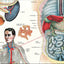 Human internal anatomy chart