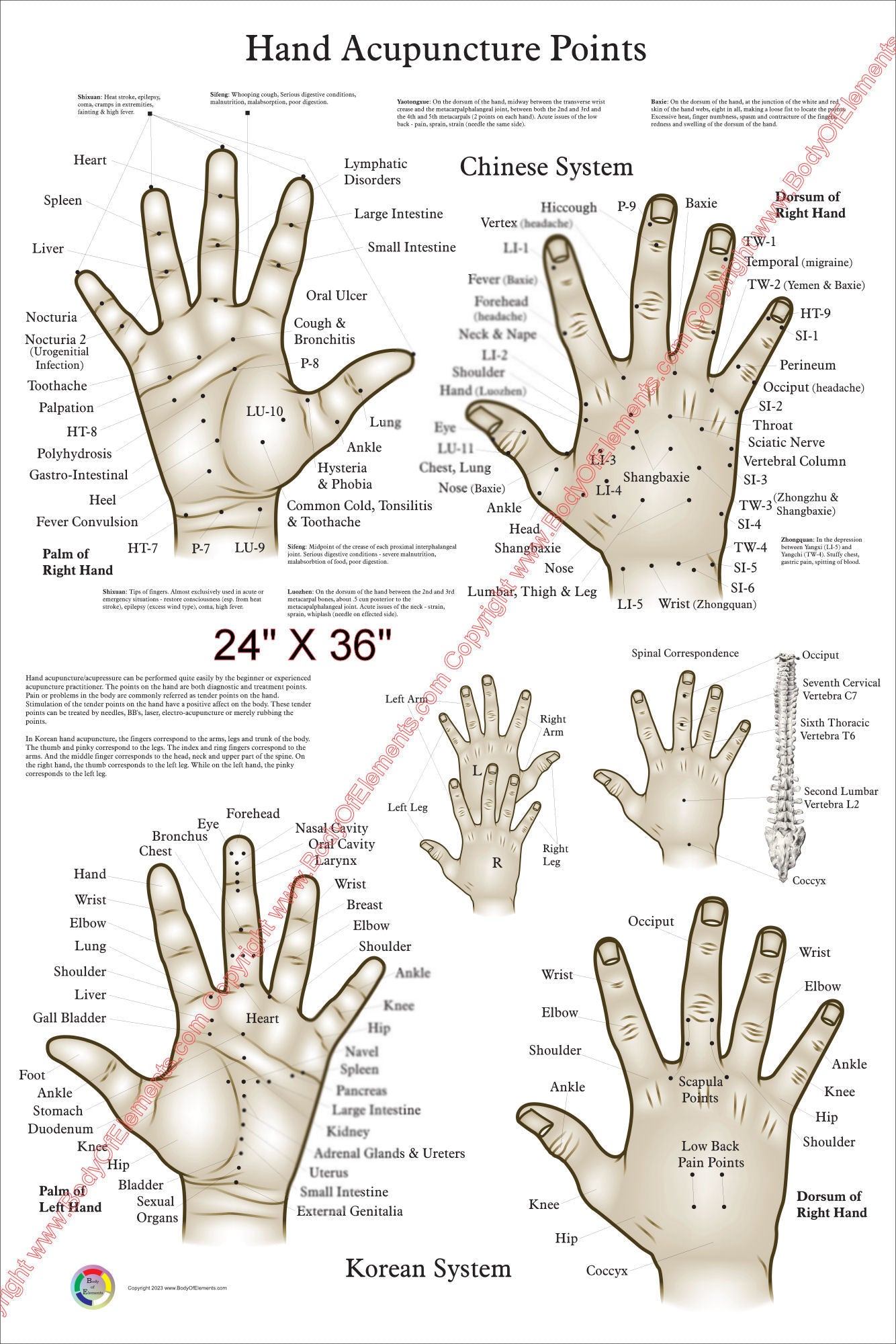 Chinese And Korean Hand Therapy Hand Acupuncture Poster – Body Of Elements