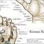 Acupressure Points Face Hand Feet Poster