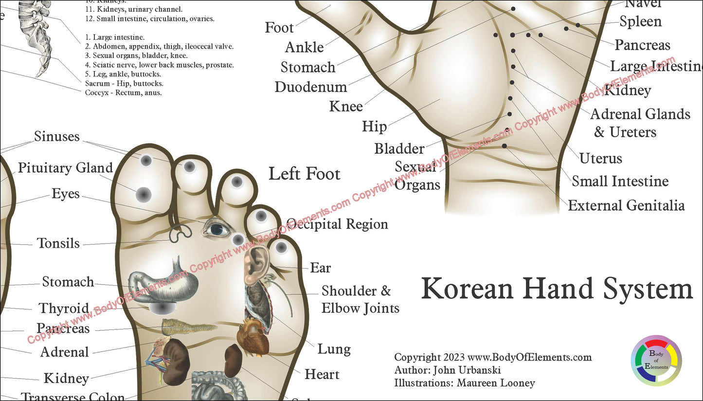 Acupressure Points Face Hand Feet Poster
