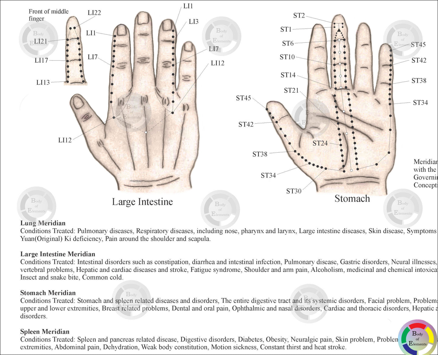 Korean Hand Therapy Meridian System