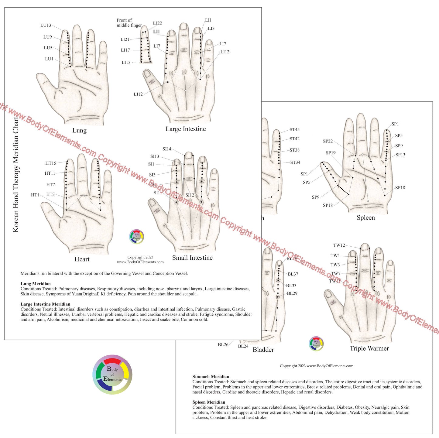 Korean Hand Therapy Meridian Chart 8.5" X 11"