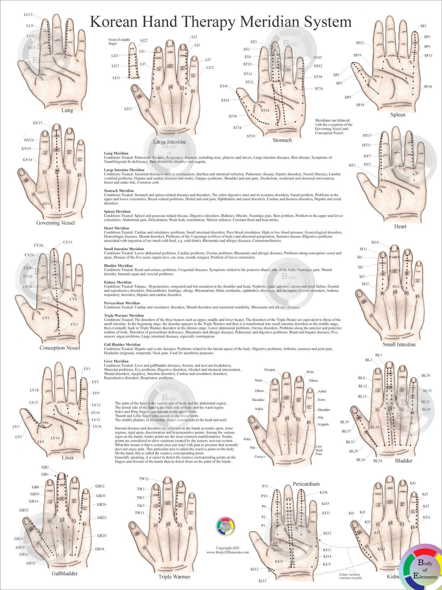 Korean Hand Therapy Meridian System