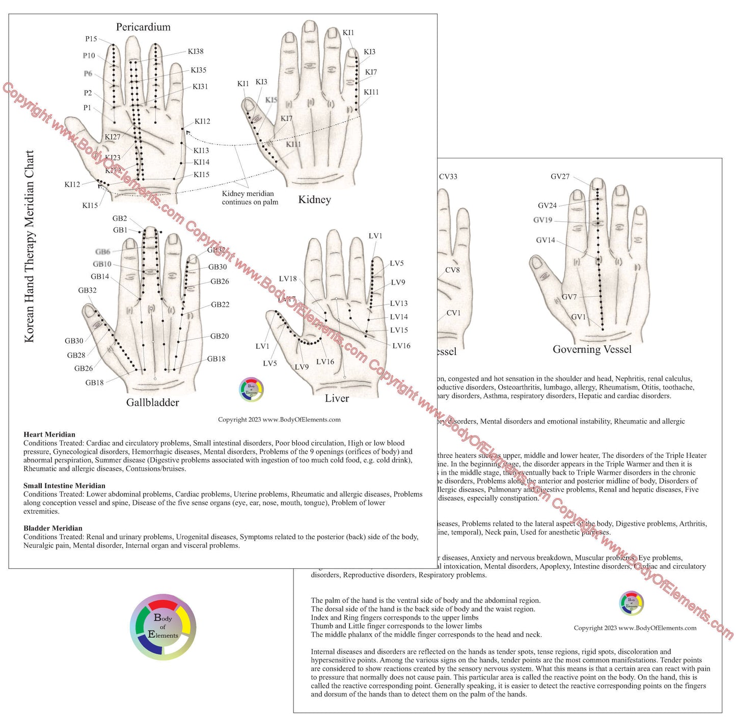 Korean Hand Therapy Meridian Chart 8.5" X 11"