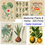 Medicinal Plants Herbs Flowers Vintage Illustrations Digital Print Download 1