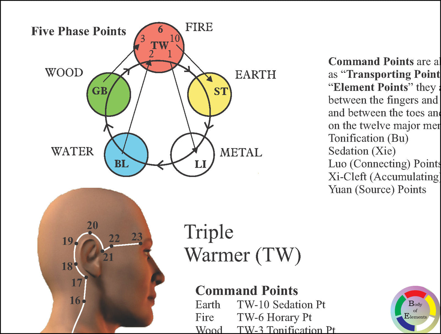 Five element points triple warmer meridian