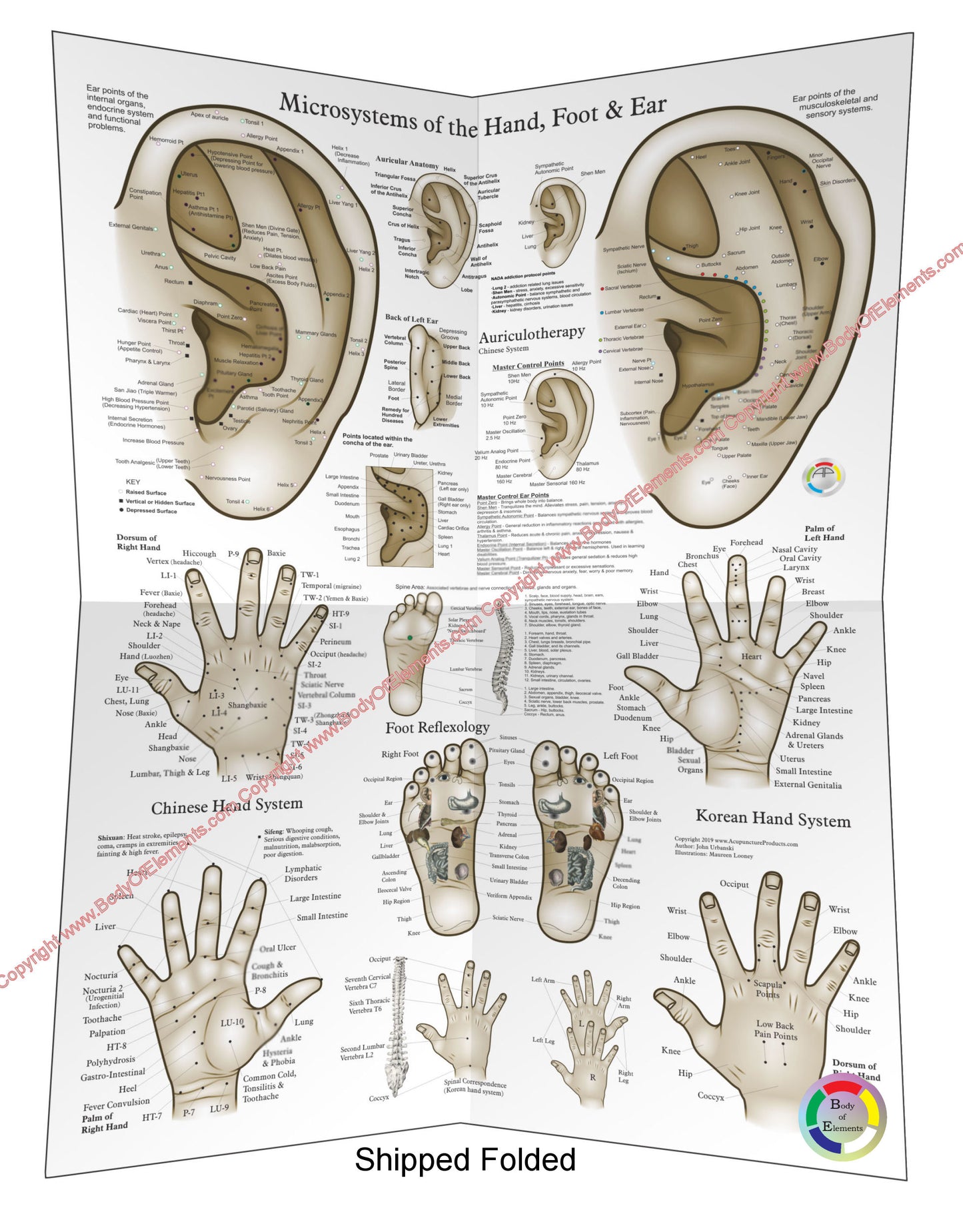 Acupuncture Microsystems Poster Folded