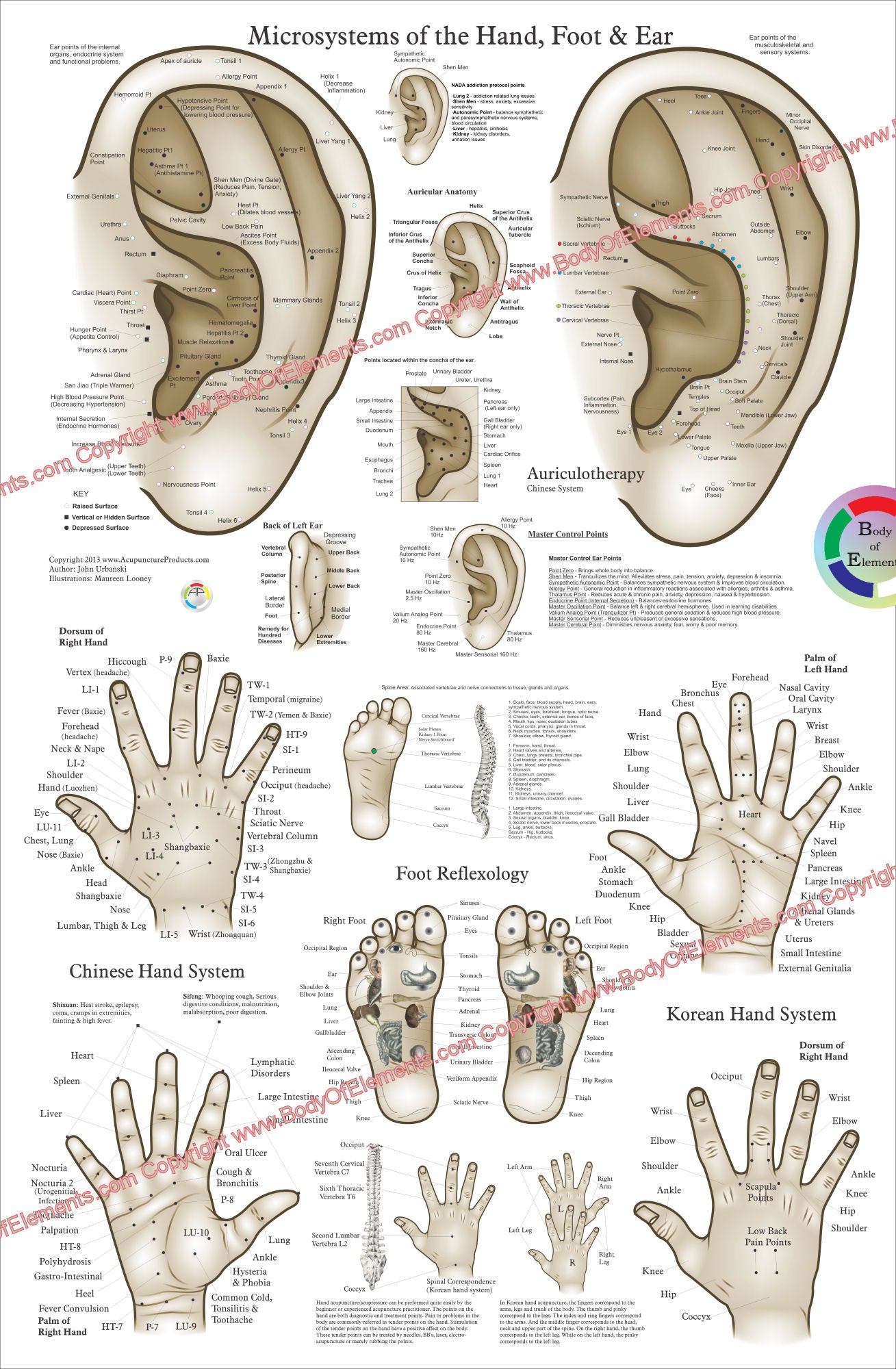 Acupuncture Microsystems of the Hand Foot and Ear Poster