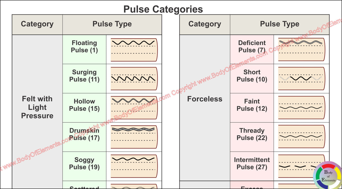 Pulse Diagnosis Acupuncture Poster