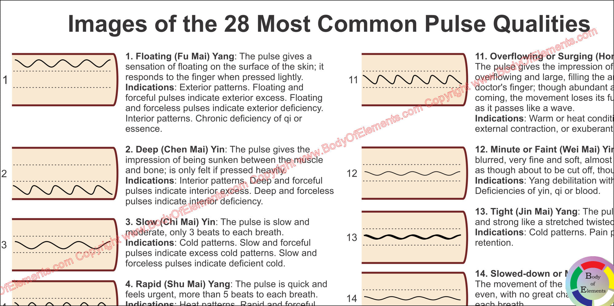 Pulse Diagnosis Acupuncture Poster – Body of Elements
