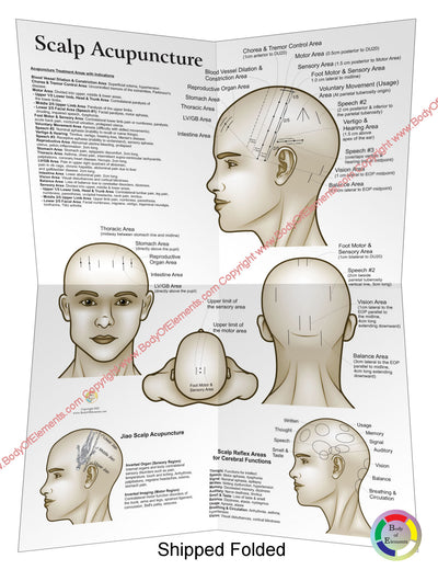 Scalp Acupuncture Points Poster Folded