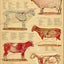 Sheep anatomical wall chart
