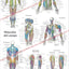 Human muscle anatomy poster in Spanish