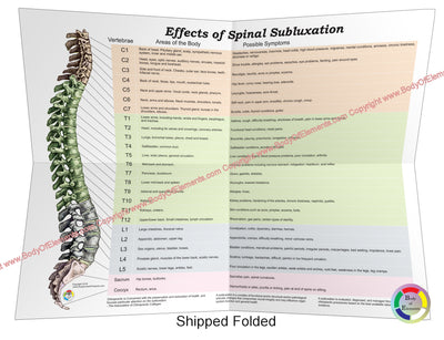 Effects of Spinal Subluxation Poster Folded