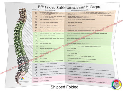 Effects of Spinal Subluxation Poster Folded