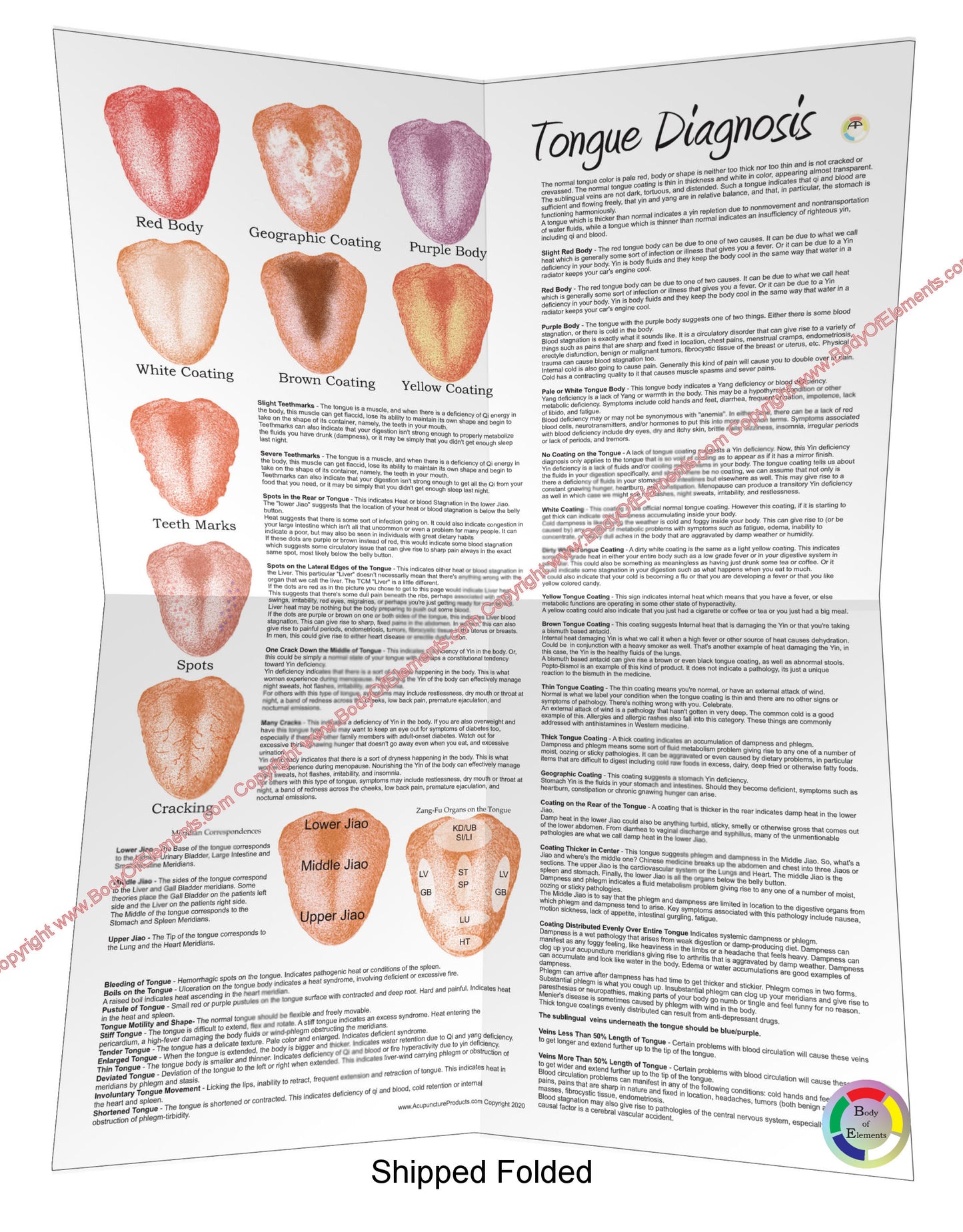 Chinese Tongue Diagnosis Poster Folded