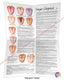 Chinese Tongue Diagnosis Poster Folded