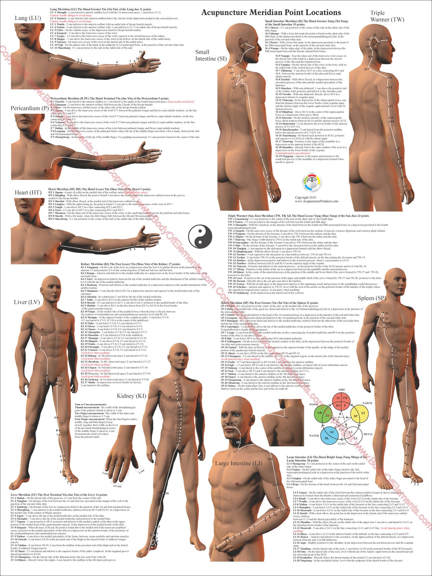 Point locations for the acupuncture meridians
