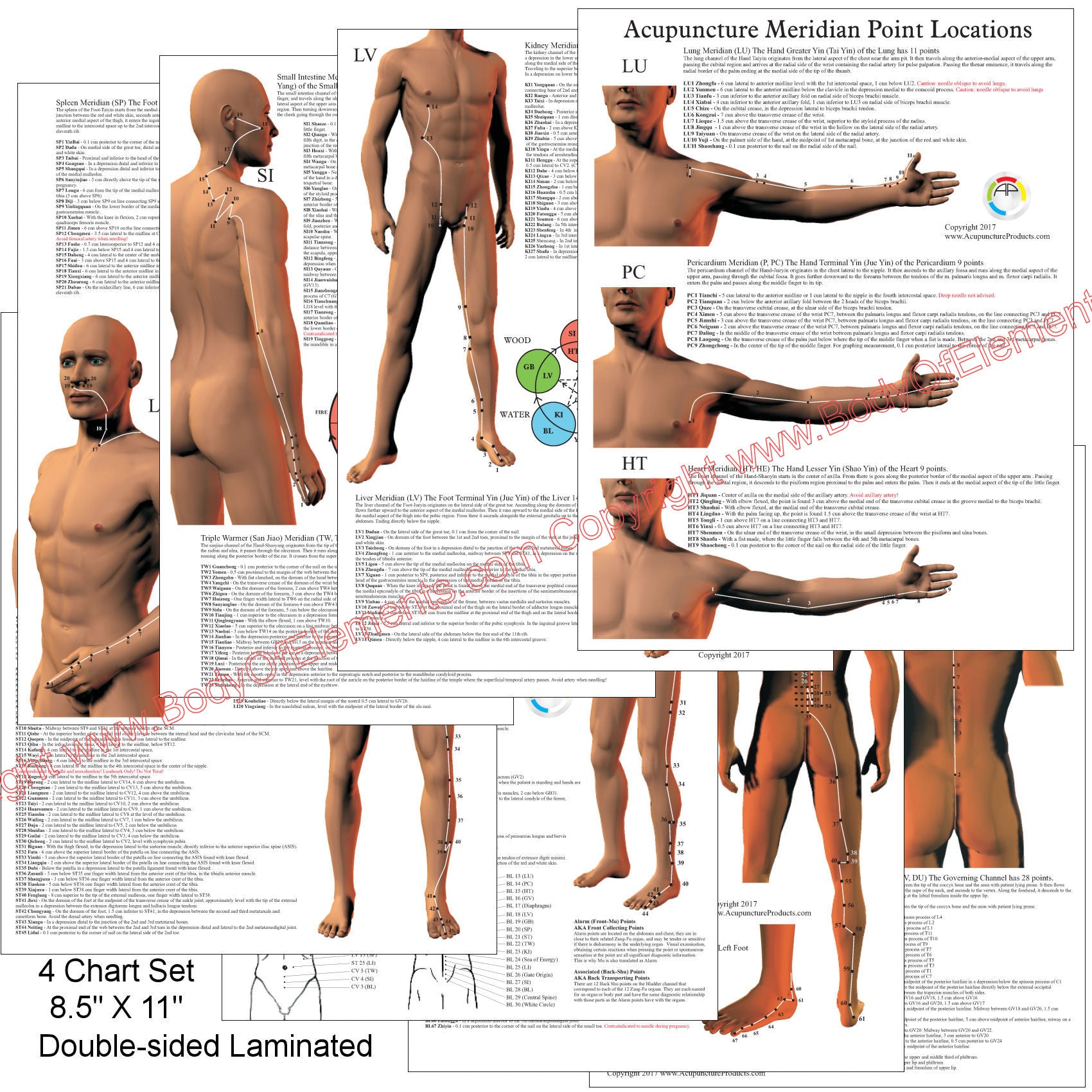 Acupuncture Points Chart (8.5 X 11 Laminated 2-page Chart) - Medical Quick Reference Guide By Permacharts
