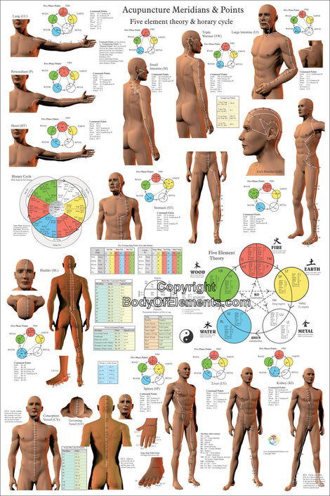 Acupuncture Posters – Body of Elements