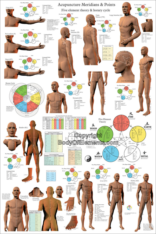 Acupuncture Meridian Points And Pathways Poster Body Of Elements 