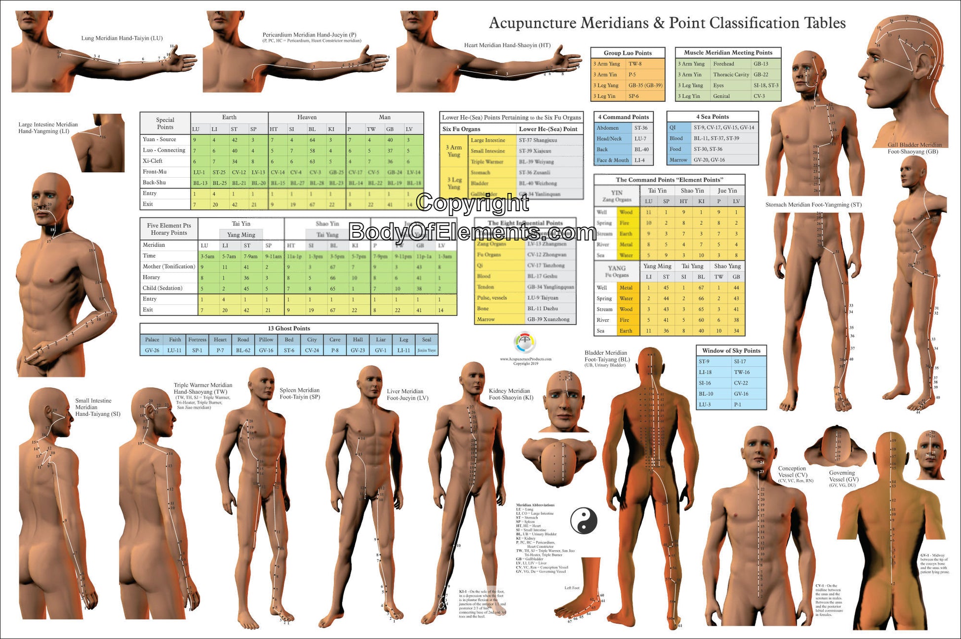 Acupuncture Point Categories Poster Horizontal
