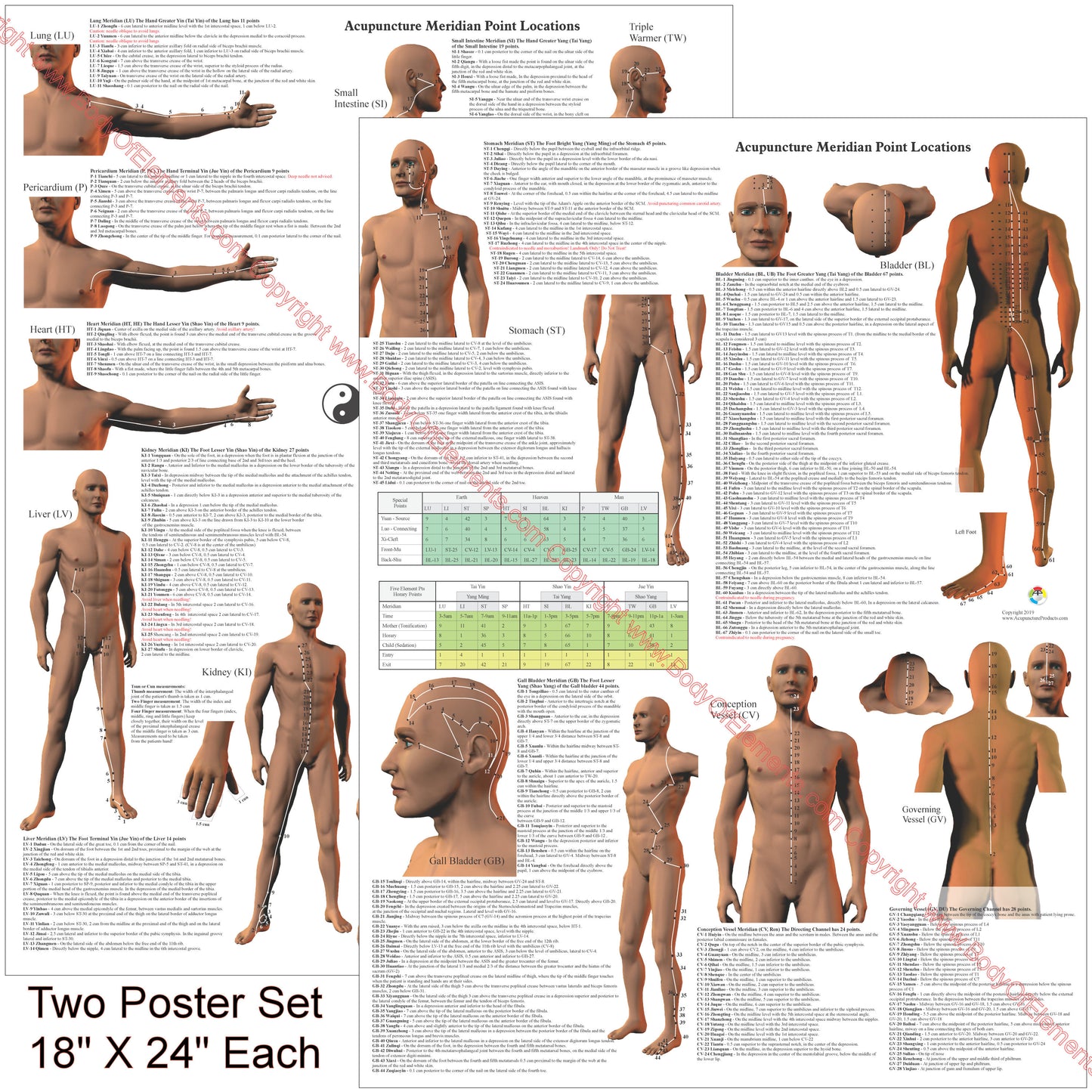 Acupuncture meridian locations posters
