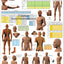 Acupuncture Point Categories Poster Vertical