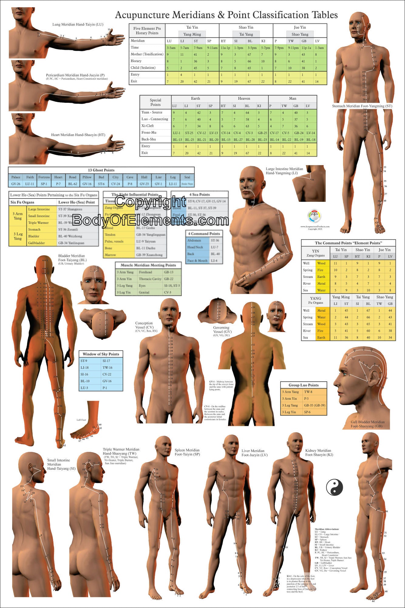 Acupuncture Point Categories Poster Vertical