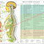 Effects of spinal subluxation poster in English