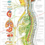 Autonomic nervous system poster in French