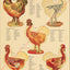 Chicken hen anatomical chart