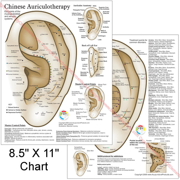 Chinese System of Auricular Ear Acupuncture Chart 8.5
