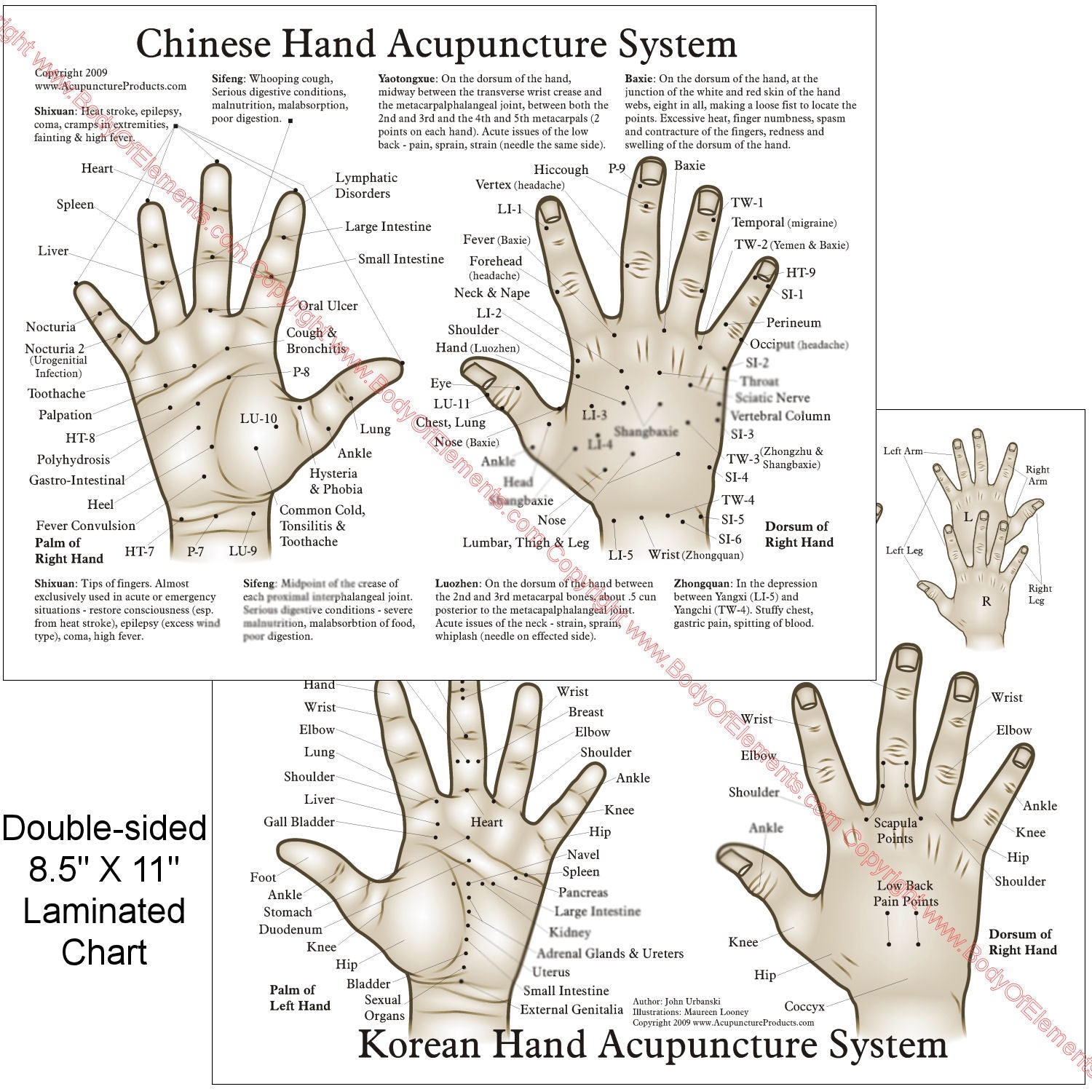 Chinese Korean hand acupuncture points chart