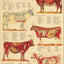 Cow anatomical chart