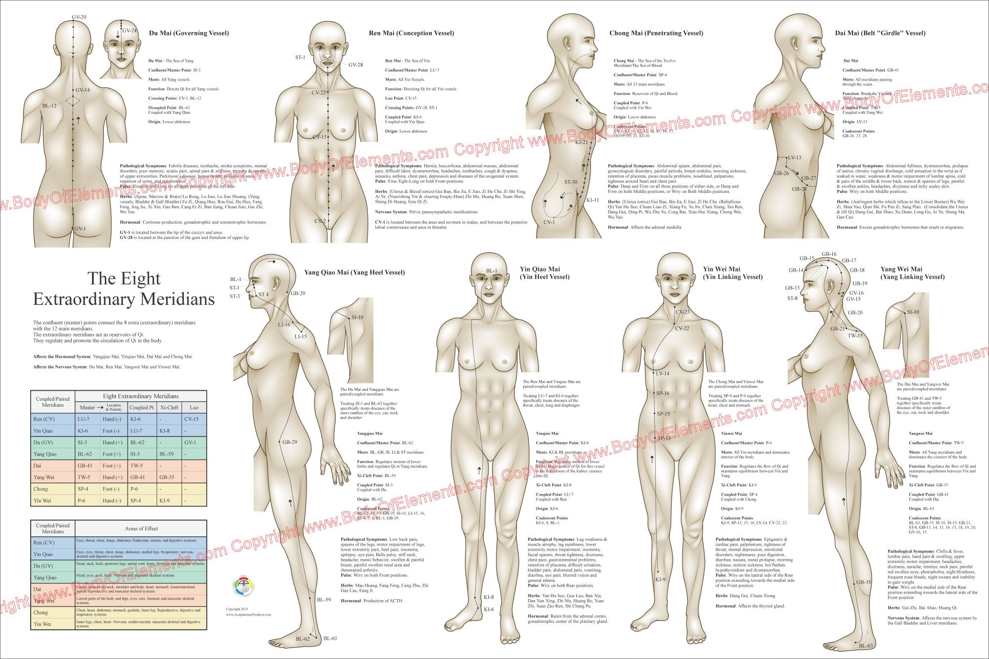 Extra Meridians The Eight Extraordinary Meridians Poster – Body of Elements