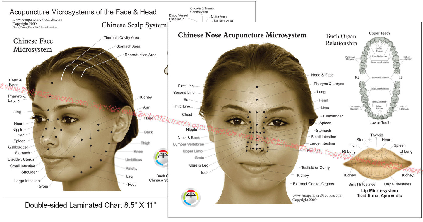 Microsystems of the Face Head Acupuncture Chart 8.5" X 11"