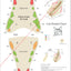 Cat dental numbering system wall chart