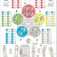 Five elements acupuncture points wall chart